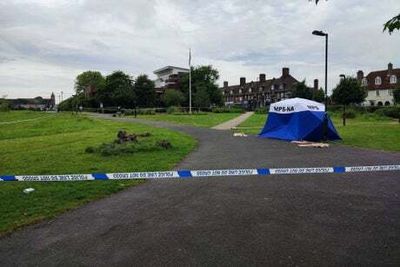 Woman left with ‘slash’ wounds after night-time attack in north London park