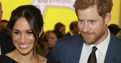Prince Harry's parenting branded 'ludicrous' by royal expert