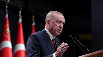 Erdogan Calls for NATO Support to Establish Safe Zone on Turkey-Syria Border