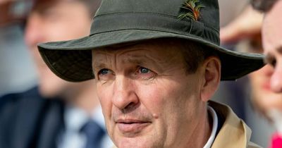 Irish trainer Kieran Cotter fined €27,500 for 'serious' rule breaches