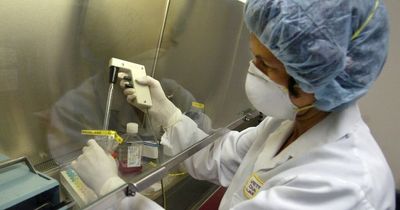 What is monkeypox and should Ireland be worried? Concern as outbreak spreads to Europe