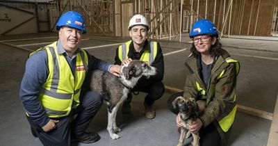 New Tyneside veterinary practice to create 70 jobs as work gets under way