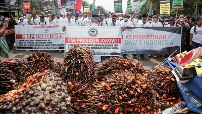 Indonesia to lift palm oil ban on Monday amid global price spike
