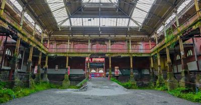 Iveagh Markets campaigner calls for action before 'someone dies' in rave