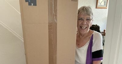 Amazon sends garden tool in a box big enough to bury you in