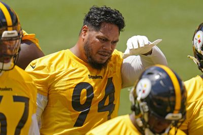 Steelers DL Tyson Alualu looking to make big comeback after losing 2021 to injury
