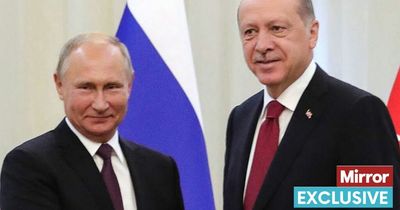 Russia may put troops on Finnish border after Turkey blocks NATO bid, expert warns