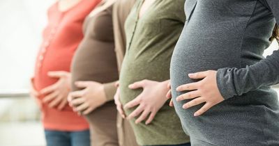 The £500 grant available to pregnant women