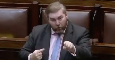 Woman leaves politician voicemail saying Ireland should forget about Ukraine and 'let them die'