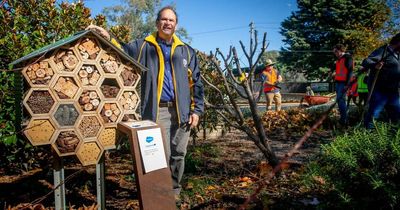 Bee-autiful effort: Salesforce, Capgemini join forces to help bees at Hall