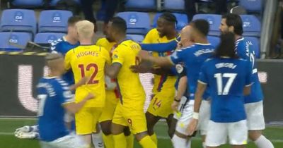 Premier League explain why Jordan Ayew was not sent off against Everton