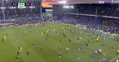 Everton fans invade pitch before full-time as mad comeback secures Premier League safety