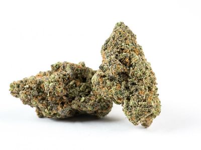 Unleash The Science: Let Researchers Run Trials On The Health Effects Of Marijuana