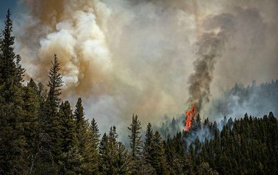 Gusty winds fuel wildfires in Texas, New Mexico, Colorado