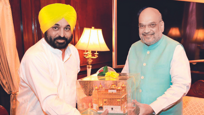 Punjab chief minister Bhagwant Mann calls on Amit Shah, seeks MSP on basmati