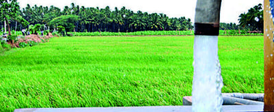 Andhra Pradesh: DBT scheme saves 33% power in agri sector in Srikakulam