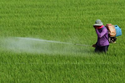 Toxic herbicides ban to stay