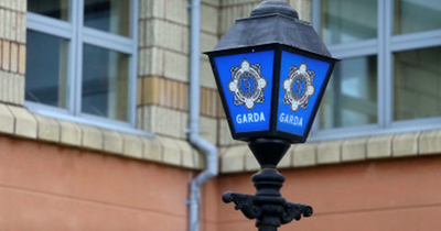 'Attempted abduction' outside Dublin home leaves boy traumatised, says father