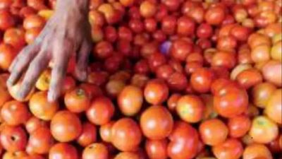 Tomato sale at subsidised prices in Andhra Pradesh