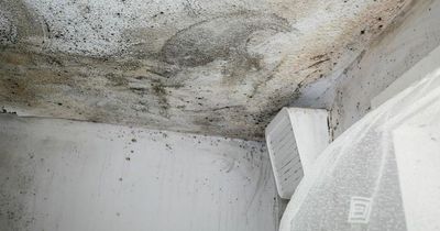 Family forced to live out of bags and boxes as flat is infested with mould