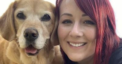 Woman quits job to help her terminally ill dog complete her bucket list