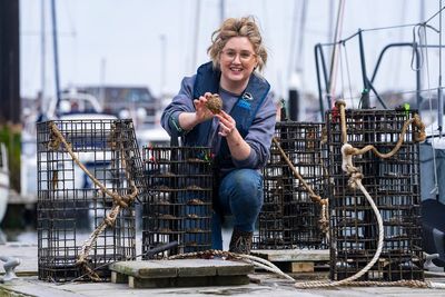 Oysters may flourish once more in Belfast with restoration project