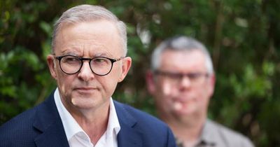 'Thinking that the campaign was about them': Albanese calls out press pack