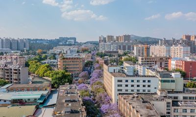 ‘Sleepwalking through extinction’: China urged to end delays to Cop15 summit