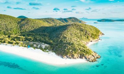 The best recent crime and thrillers – review roundup