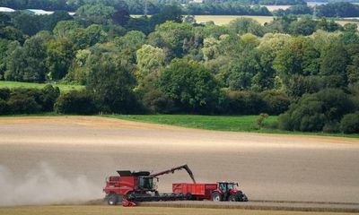 Hard-right Tories push to delay environmental land management scheme