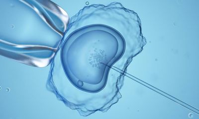 UK fertility watchdog could recommend scrapping donor anonymity law