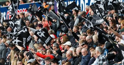 Defiant Ospreys going nowhere as Scarlets merger ruled out amid claim 'person with agenda' leaked shock report