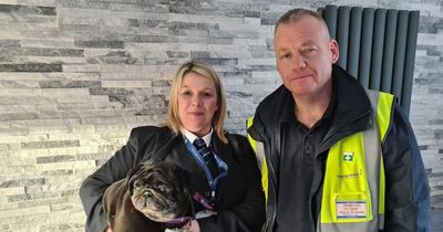 Edinburgh Airport couple take home passenger's pug so they can fly to Italy