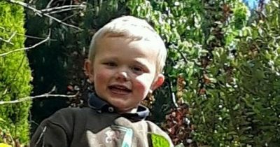 Boy, 3, mauled to death by dog went into cardiac arrest after suffering head and neck injuries, coroner told