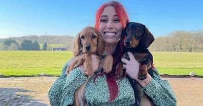 Stacey Solomon gives fans guided tour of her renovated home and announces new book of DIY hacks