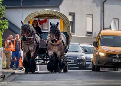 German woman swaps SUV for horse carriage to save money on work commute