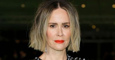 American Horror Story star Sarah Paulson helps friend try to find 'dognapped' pet