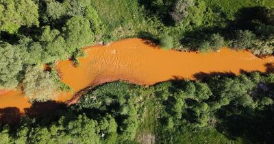 Mystery as river turns orange and kills wildlife becoming 'ecological disaster'