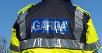Arrests made after car reverses into Carlow tanning salon and causes fire