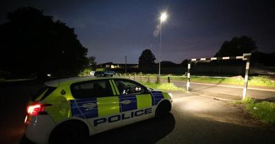 Neighbours 'don't feel safe anymore' after man chased and shot with BB gun