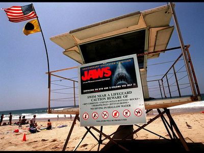 A 'Jaws' actor is named police chief in the town where the iconic movie was filmed