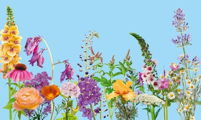 Wellbeing secrets from the Chelsea flower show