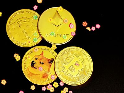 If You Had $1,000 Right Now, Would You Buy The Dip In Dogecoin, Shiba Inu, Ethereum Classic Or Bitcoin Cash?