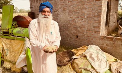 India’s wheat farmers count cost of 40C heat that evokes ‘deserts of Rajasthan’