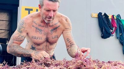 Seaweed snack innovator creates 'underwater garden' to build sustainable business