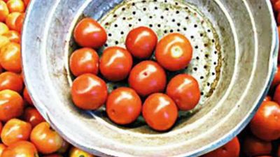Kitchen budget on fire as tomato hits century in Andhra Pradesh