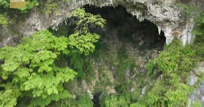 Ancient forest found at bottom of huge China sinkhole that could contain new species