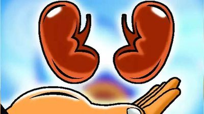 Civil Hospital gets 100 kidney donations, highest in Gujarat