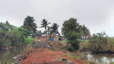 Goa: Complaint against tenant association for Merces mangrove cutting says forests, town and country planning minister Vishwajit Rane