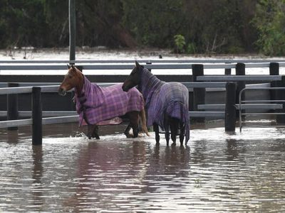 Flood warnings in drenched southeast Qld